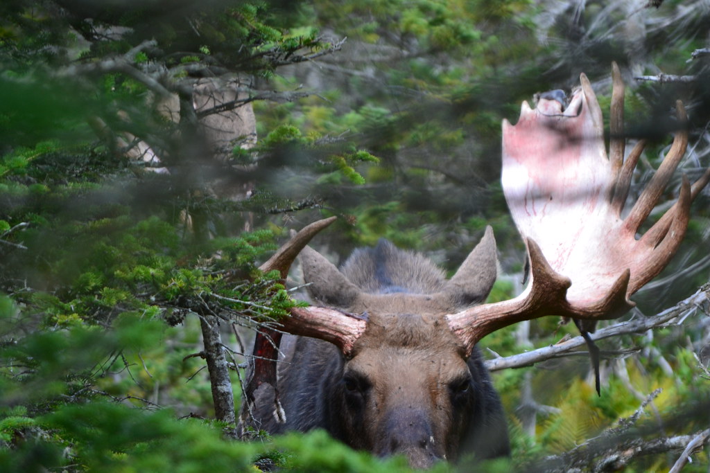 Nova Scotia