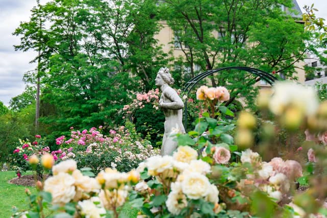 Language stays in Paris, blooming garden with statues and roses in spring